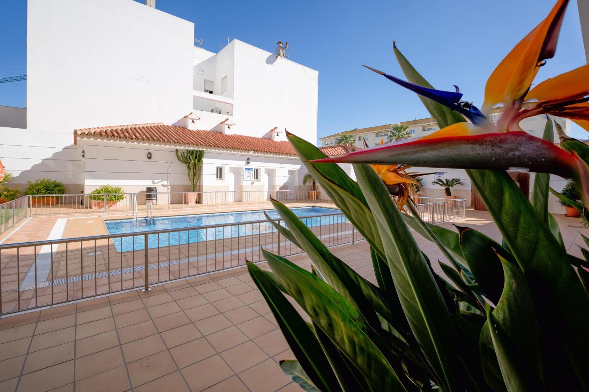 Hotel Apartamentos Loto Conil コニル・デ・ラ・フロンテラ エクステリア 写真